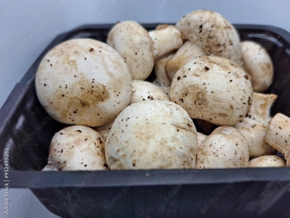 fresh mushroom : fresh mushroom :