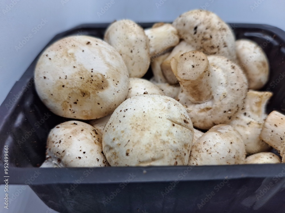 fresh mushroom : fresh mushroom :