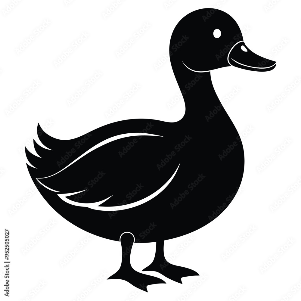 duck isolated on white duck isolated on white