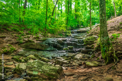 Like the gentle current of Lake Erin, life moves forward with a calm that only nature can provide, Lake Erin Trail, Tucker, Georgia, United States of America