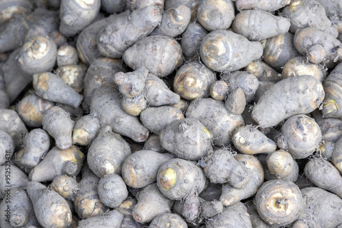 Pile of taro roots or kochur mukhi as background. photo