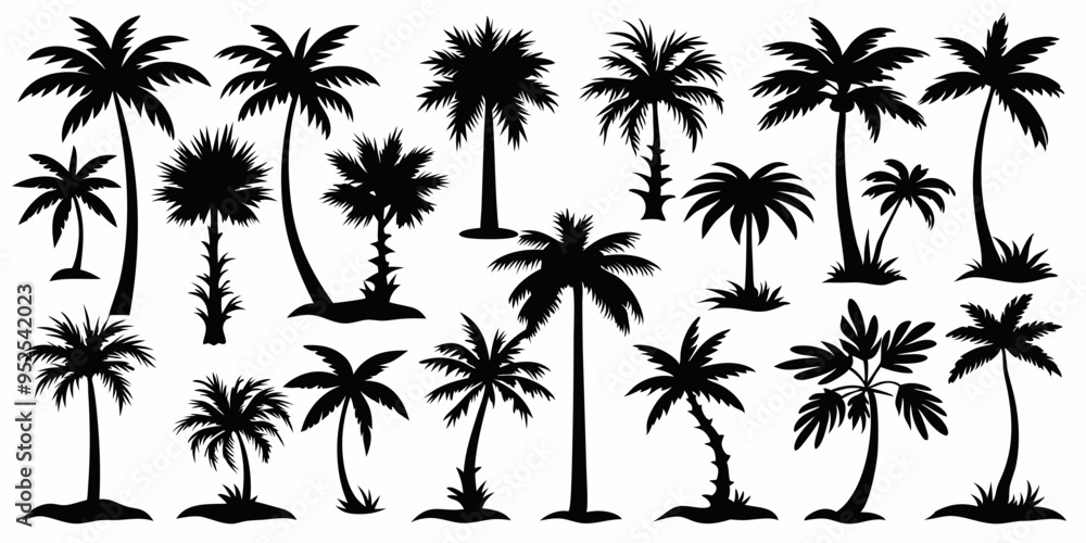 Tropical palm trees set silhouettes on white background Tropical palm trees set silhouettes on white background