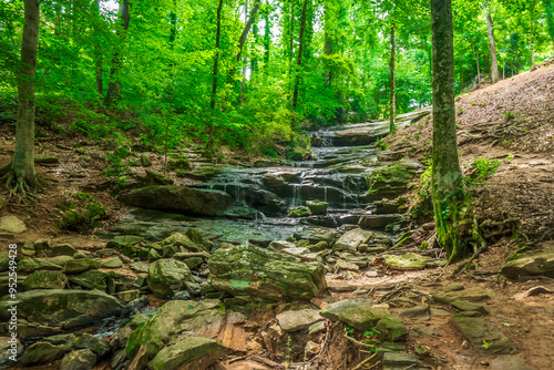 Photography The flowing stream whispers the song of the earth, a melody of peace and renewal