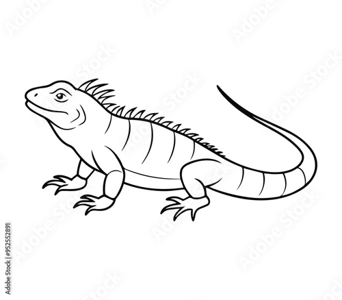 illustration of iguana