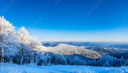 Winter landscape with frosty trees and a mountain view on a clear beautiful day