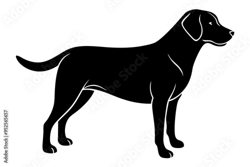 Labrador Retriever Silhouette Vector Illustration - Dog Silhouette Graphic