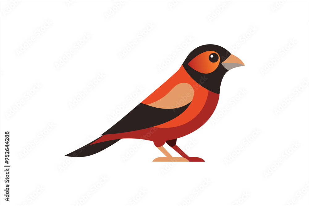 Obraz premium Grosbeak bird vector artwork illustration 