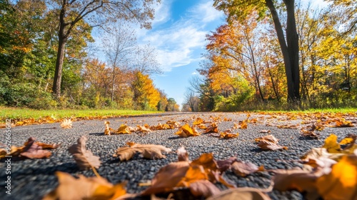 Crisp autumn day with leaves swirling in the wind cool weather