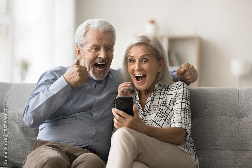 Overjoyed mature spouses sit on sofa read sms on smartphone, clenched their fists making yes gesture celebrate jackpot, bet, gambling win. Ger sell-out offer, bank loan approval, relish victory moment Overjoyed mature spouses sit on sofa read sms on smartphone, clenched their fists making yes gesture celebrate jackpot, bet, gambling win. Ger sell-out offer, bank loan approval, relish victory moment