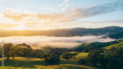 Sunrise breaking through morning fog over rolling hills foggy weather