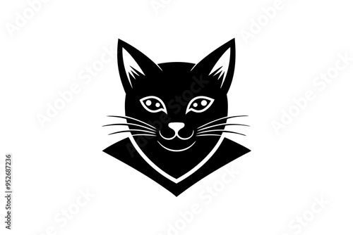 black and white cat