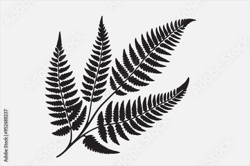 A beautiful Fern Leaf Plant Life Silhouette design.