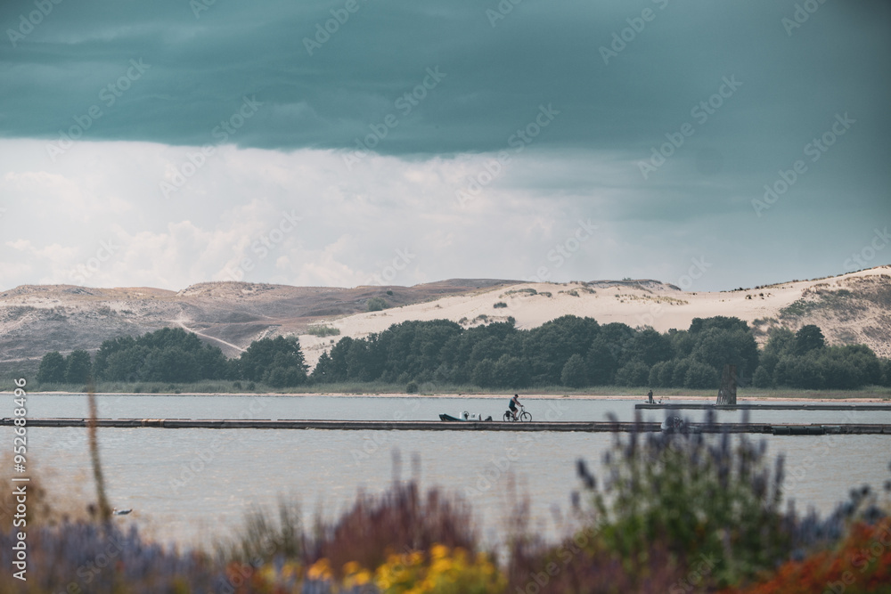 Fototapeta premium Lithuania, dunes.
