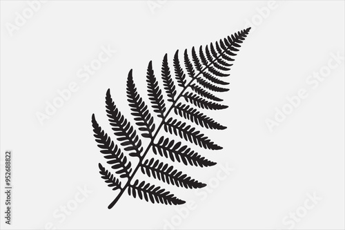 A beautiful Fern Leaf Plant Life Silhouette design.