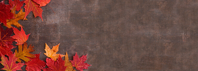 Colorful autumn leaves corner border over a dark stone banner background. Top view with copy space.