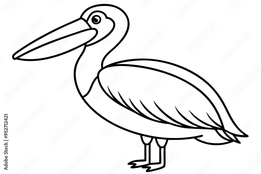 Pelican Line Art Vector Illustration Pelican Line Art Vector Illustration
