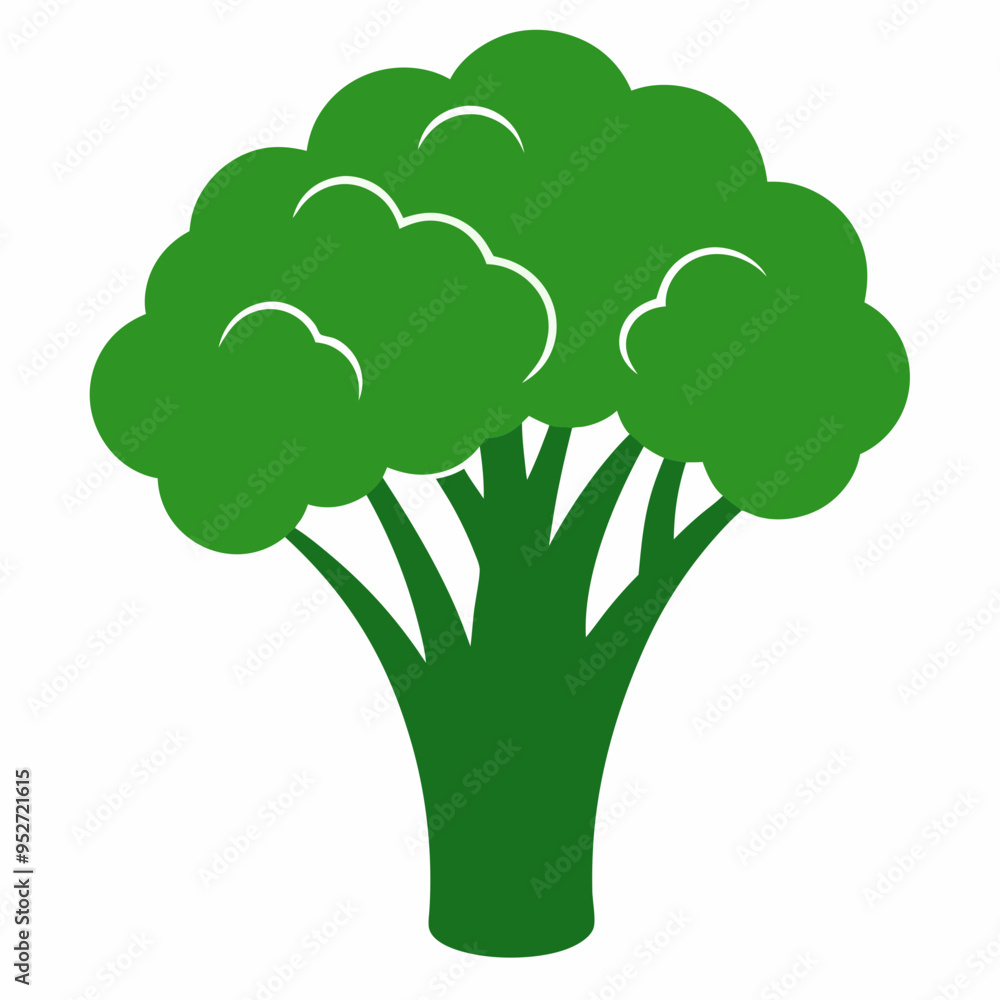 Broccoli Silhouette Vector Outline on White Background Broccoli Silhouette Vector Outline on White Background