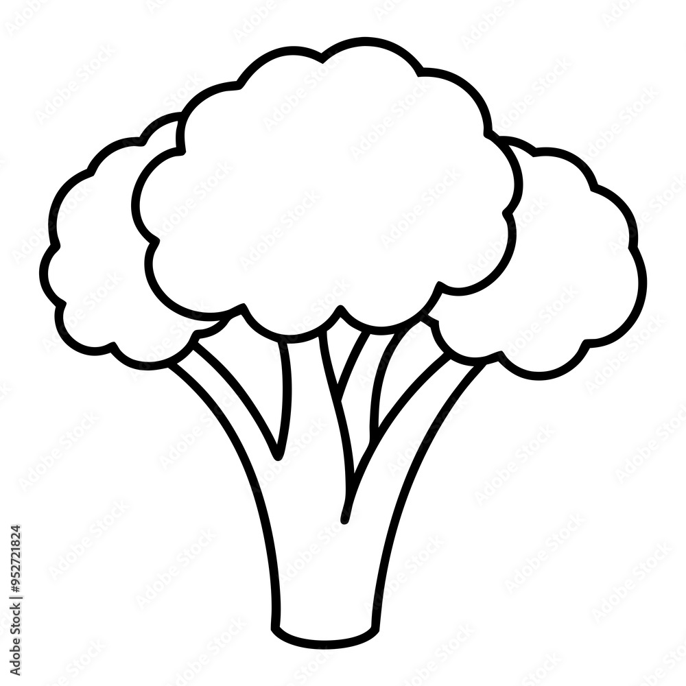 Broccoli Silhouette Vector Outline on White Background Broccoli Silhouette Vector Outline on White Background