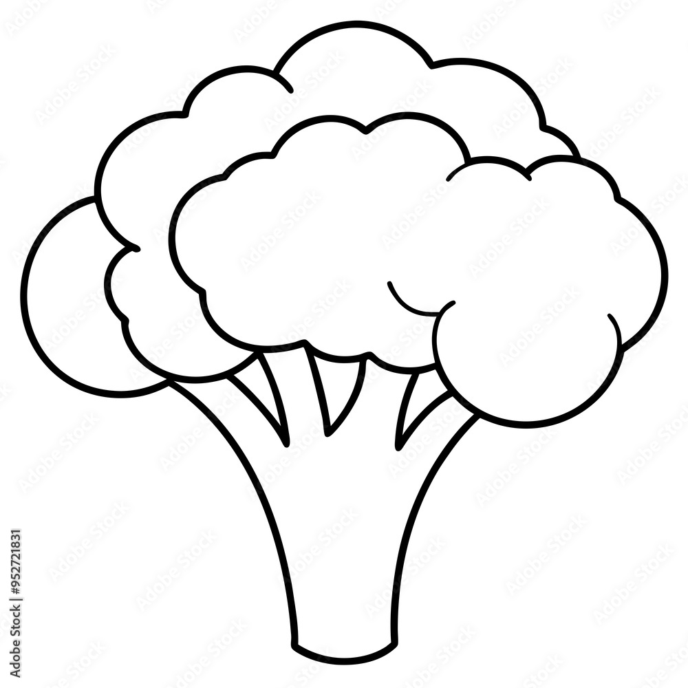 Broccoli Silhouette Vector Outline on White Background Broccoli Silhouette Vector Outline on White Background