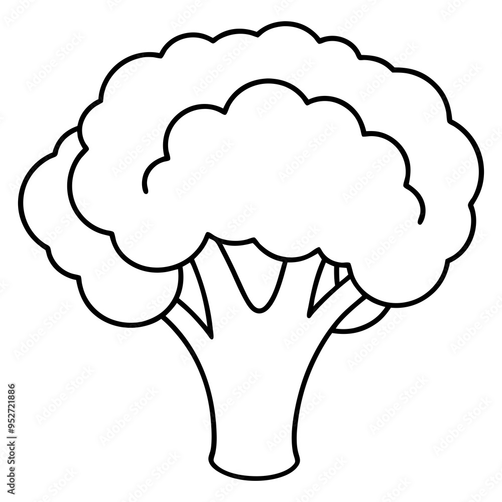 Broccoli Silhouette Vector Outline on White Background Broccoli Silhouette Vector Outline on White Background