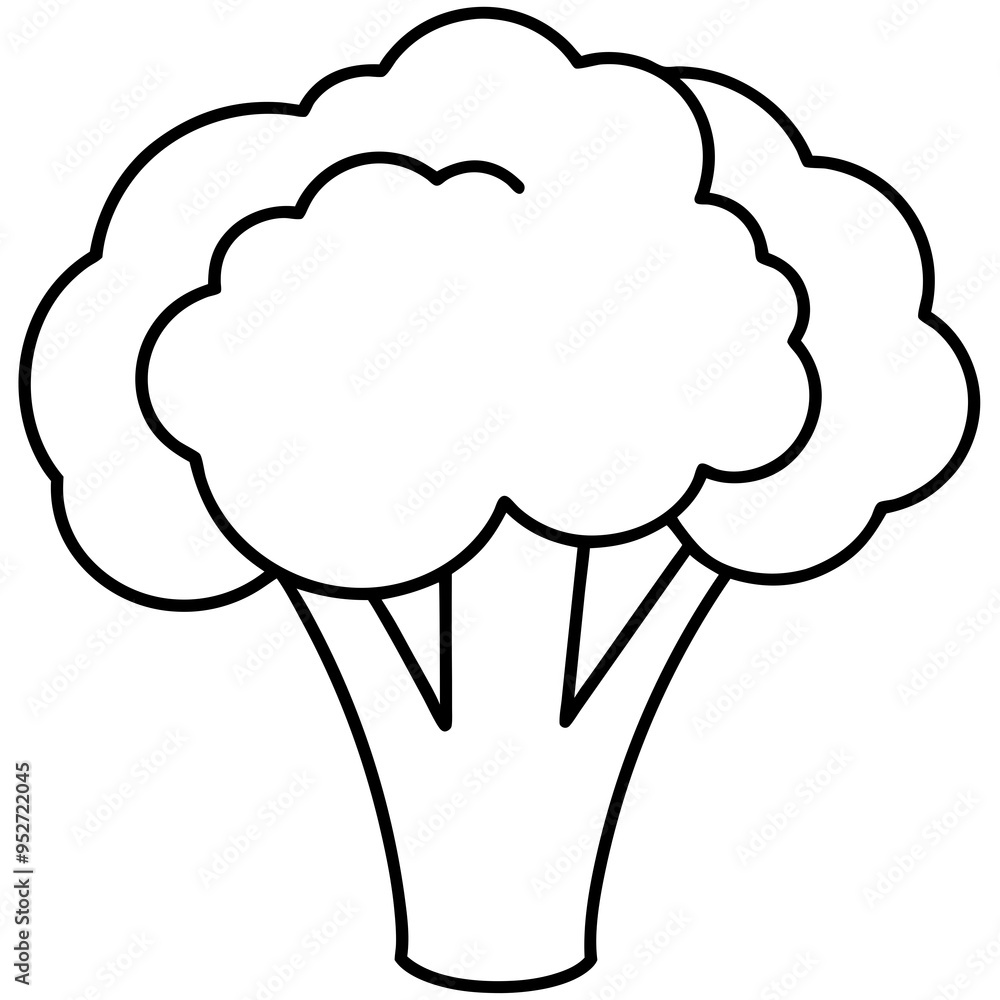 Broccoli Silhouette Vector Outline on White Background Broccoli Silhouette Vector Outline on White Background