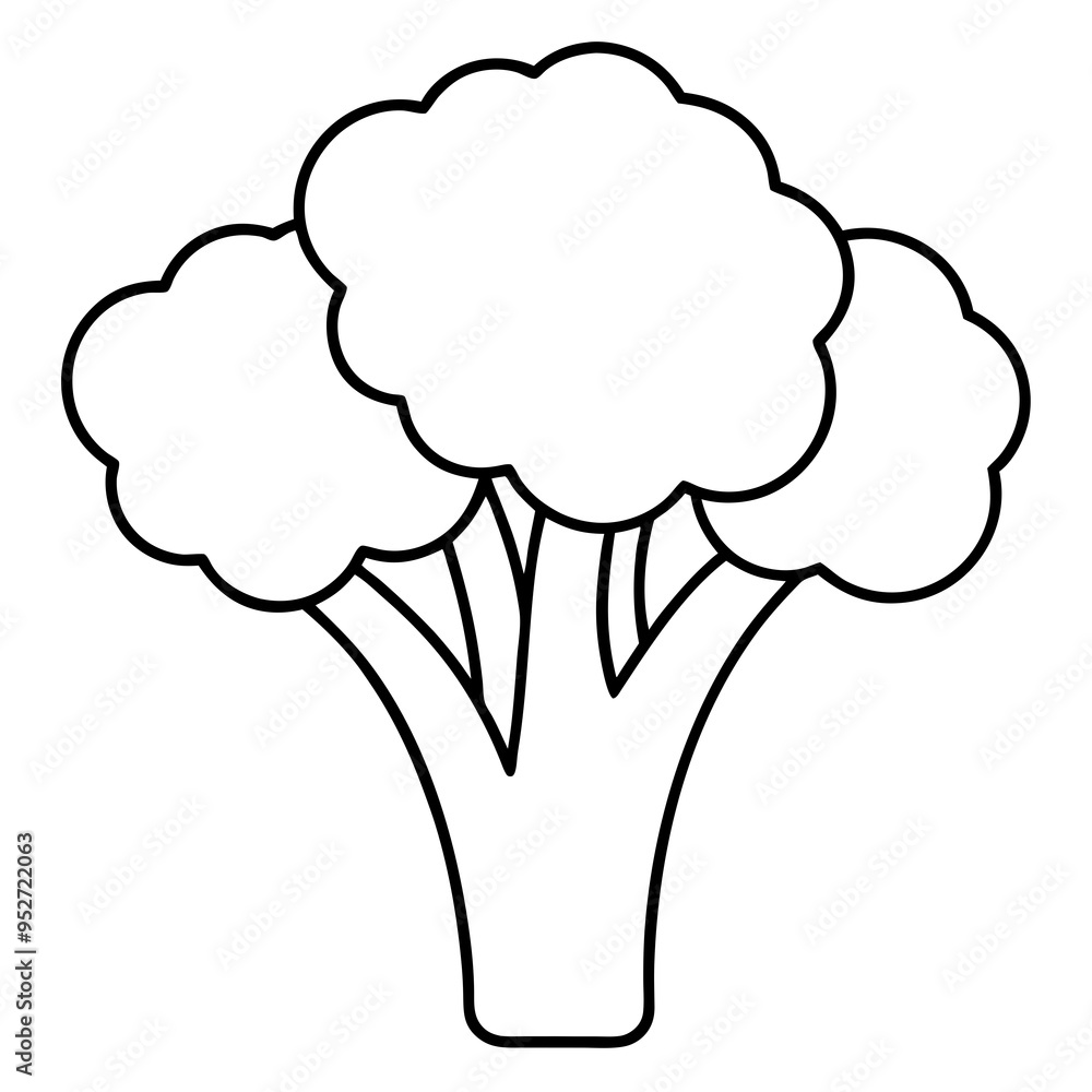 Broccoli Silhouette Vector Outline on White Background Broccoli Silhouette Vector Outline on White Background