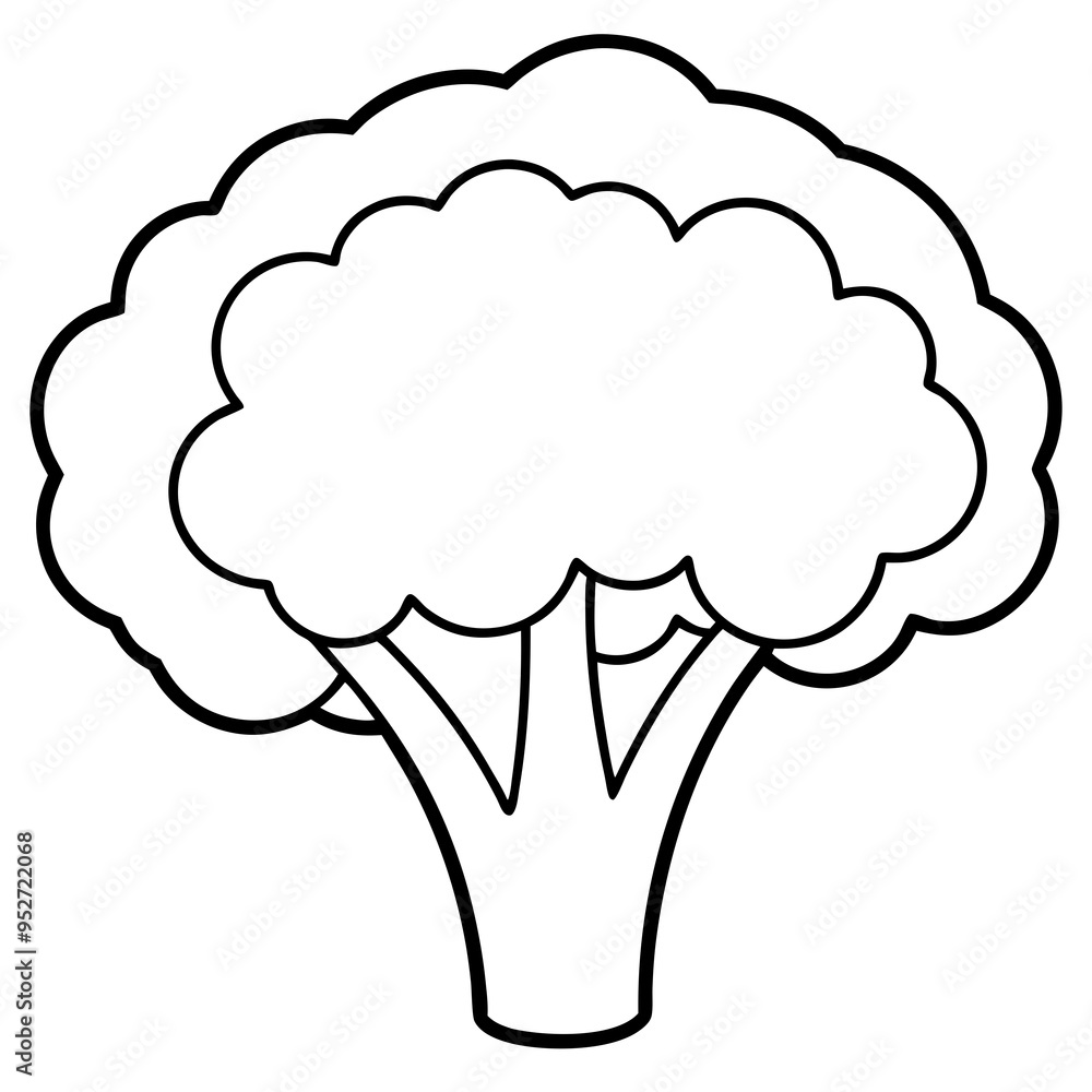 Broccoli Silhouette Vector Outline on White Background Broccoli Silhouette Vector Outline on White Background