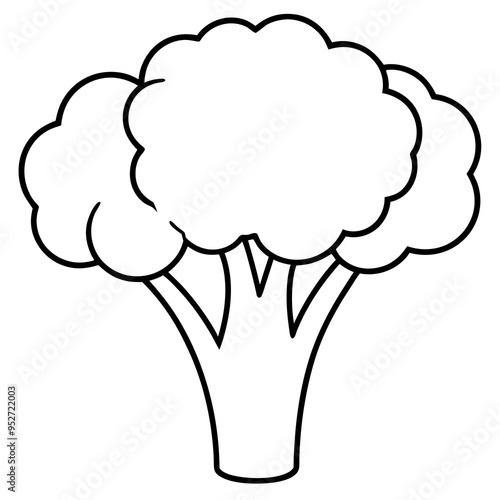 Broccoli Silhouette Vector Outline on White Background