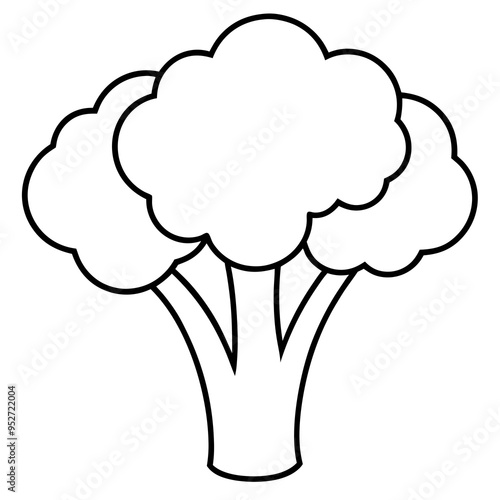 Broccoli Silhouette Vector Outline on White Background