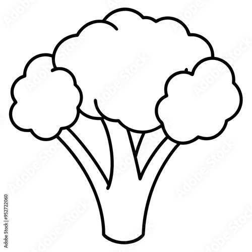 Broccoli Silhouette Vector Outline on White Background