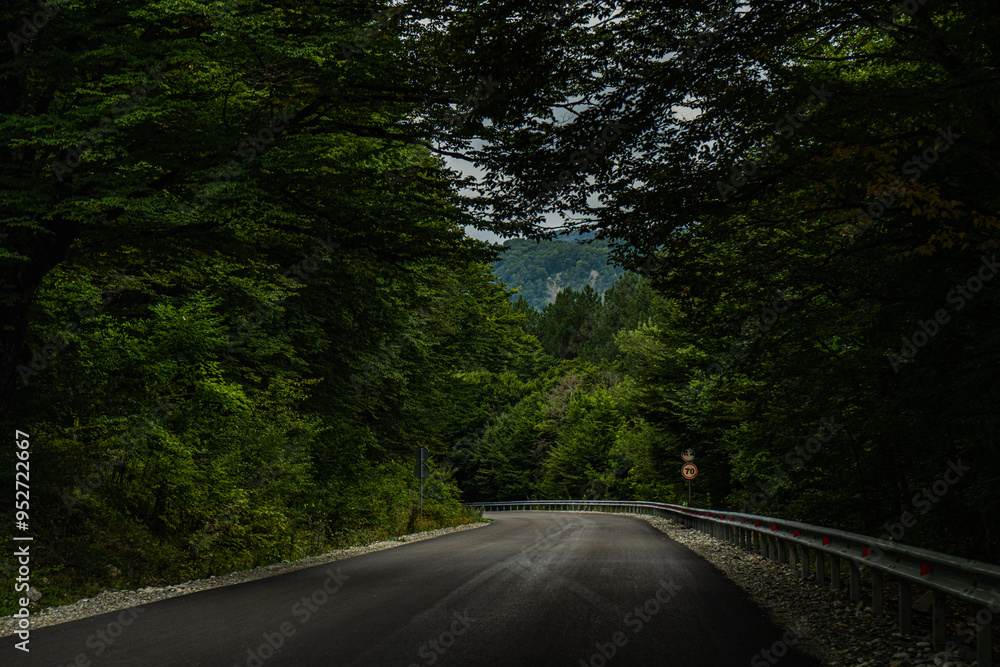 Obraz premium Road in the Caucasus mountains of Georgia