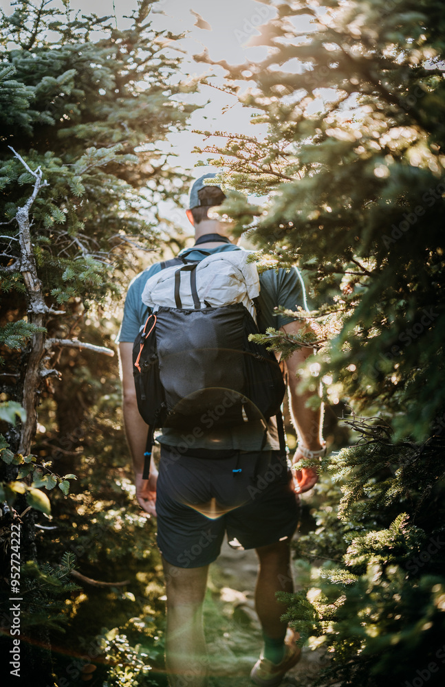 Hiker with white backpack walks through thick forest Hiker with white backpack walks through thick forest