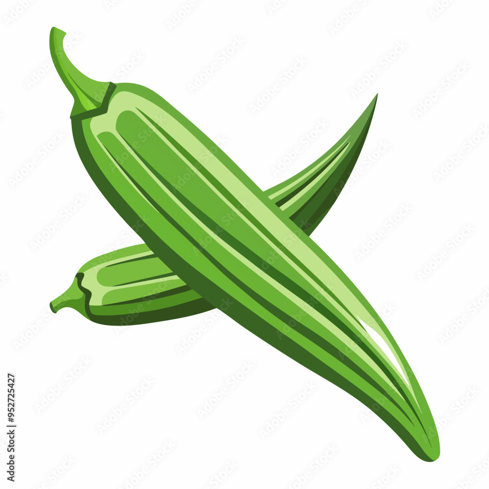 Okra Vector Illustration on White Background Okra Vector Illustration on White Background