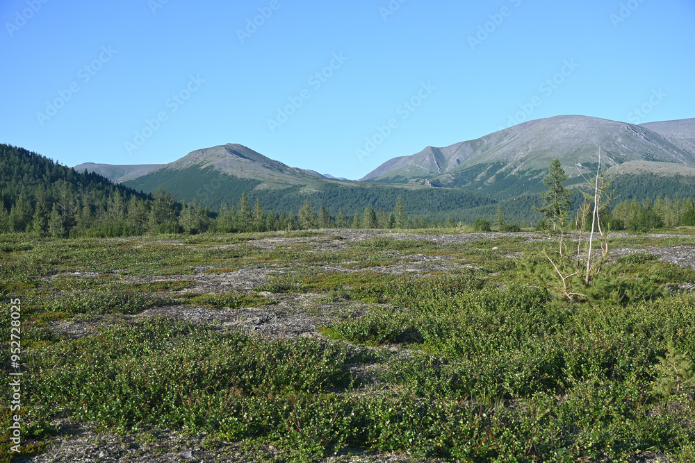 Fototapeta premium Mountain landscape.