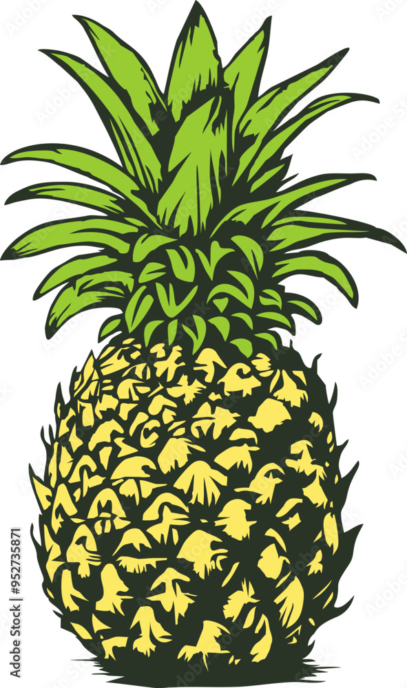 Fototapeta premium Classic Hand Drawing Pineapple Illustration