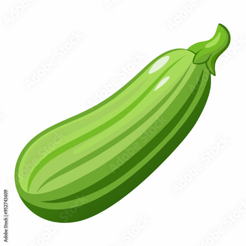 Zucchini art Vector Illustration