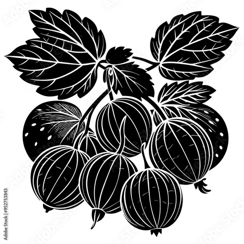 Gooseberry Fruit Silhouette Vector Illustration