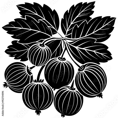 Gooseberry Fruit Silhouette Vector Illustration