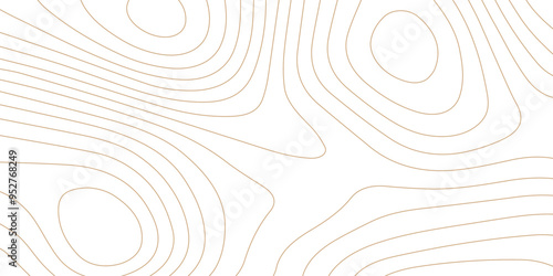 Abstract wave paper curved reliefs background .gradient multicolor wave curve lines banner background design .topographic contours map background .Vector geographic contour map.	