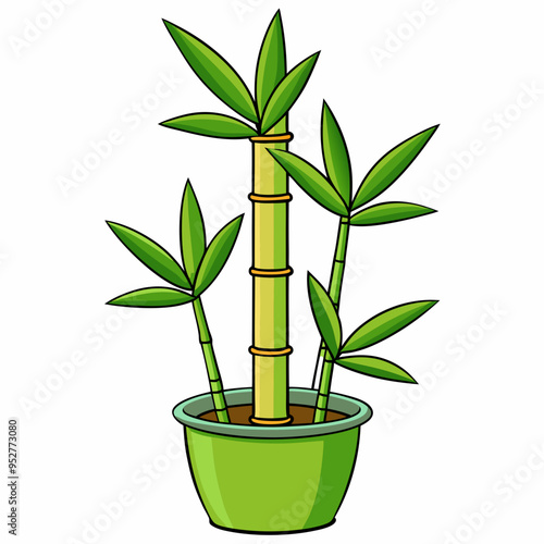 Bamboo Vector Art on White Background