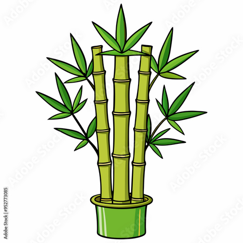 Bamboo Vector Art on White Background