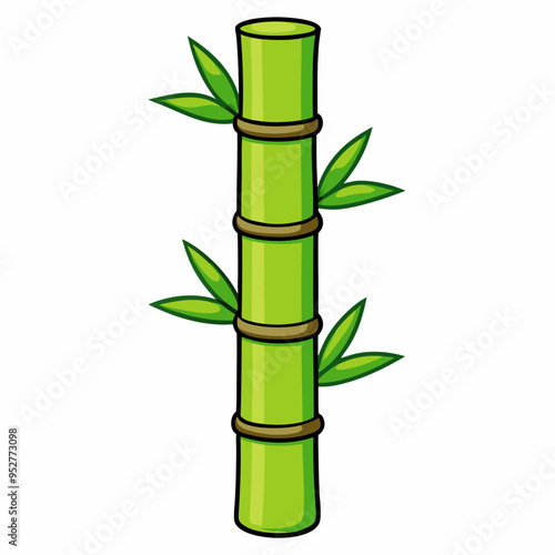 Bamboo Vector Art on White Background