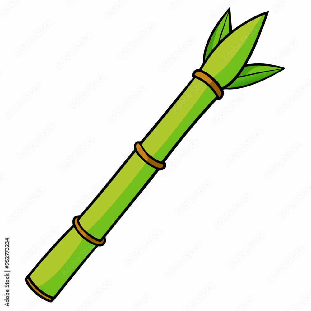 Fototapeta premium Bamboo Vector Art on White Background