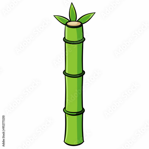 Bamboo Vector Art on White Background