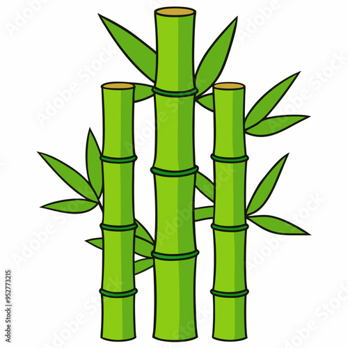 Bamboo Vector Art on White Background