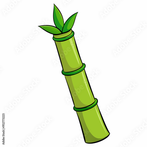 Bamboo Vector Art on White Background