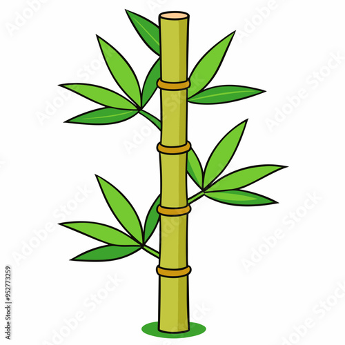 Bamboo Vector Art on White Background