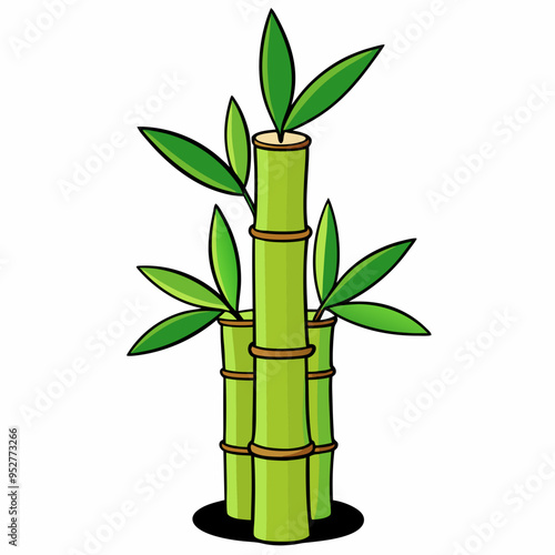 Bamboo Vector Art on White Background