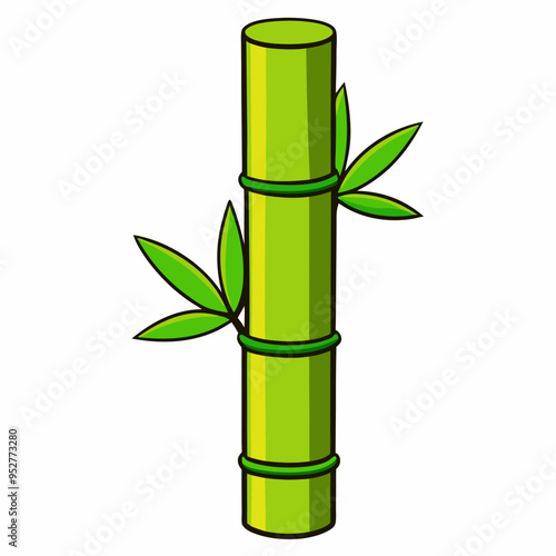 Bamboo Vector Art on White Background