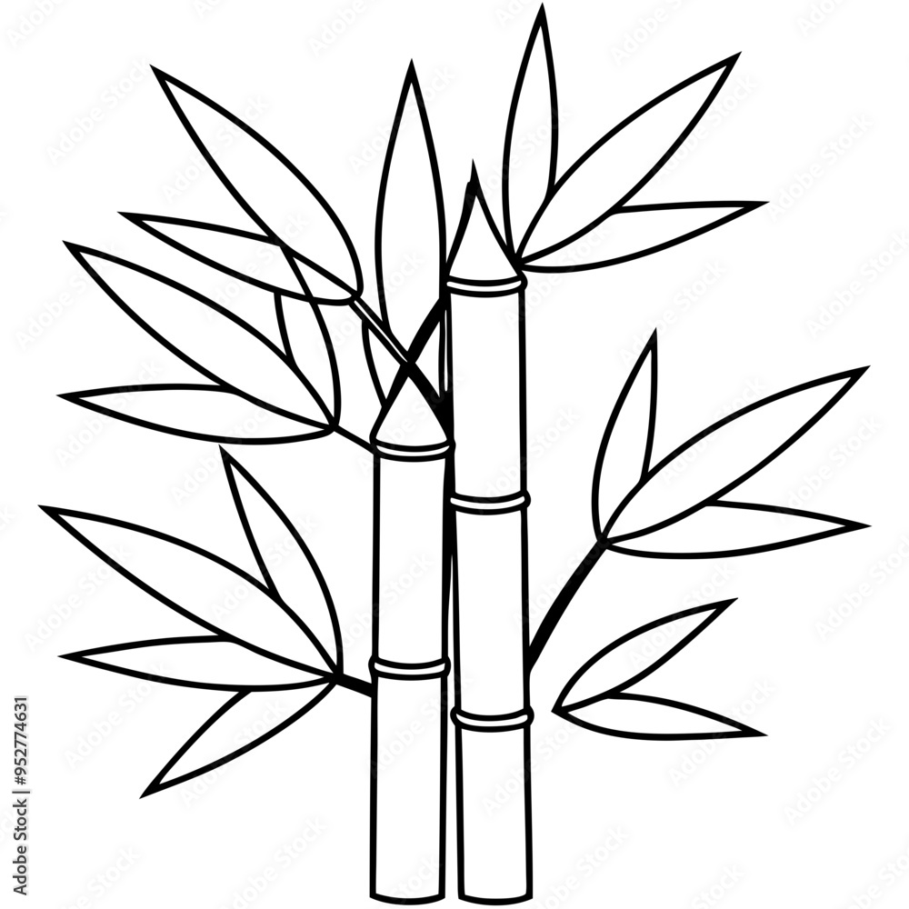 Obraz premium Bamboo Vector line Art on White Background